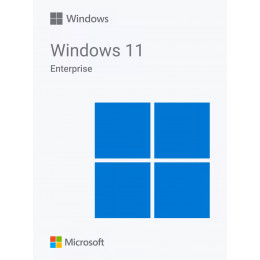 Windows 11 Pro (Профессиональная)
