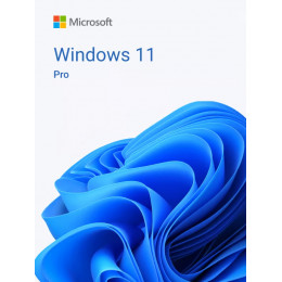 Windows 11 Pro (Профессиональная)