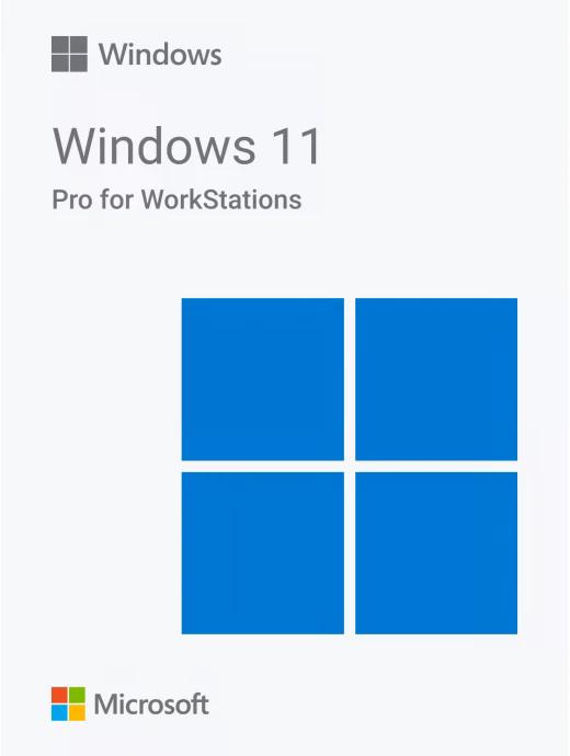 Образ Windows 11 Pro for WorkStations (Для рабочих станций) скачать