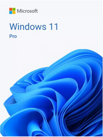 Образ Windows 11 Pro (Профессиональная) скачать